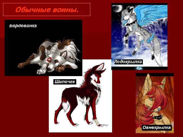 Обычные воины. 