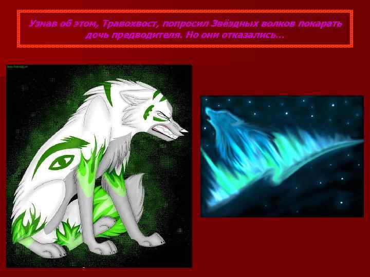 Узнав об этом, Травохвост, попросил Звёздных волков покарать дочь предводителя. Но они отказались… 