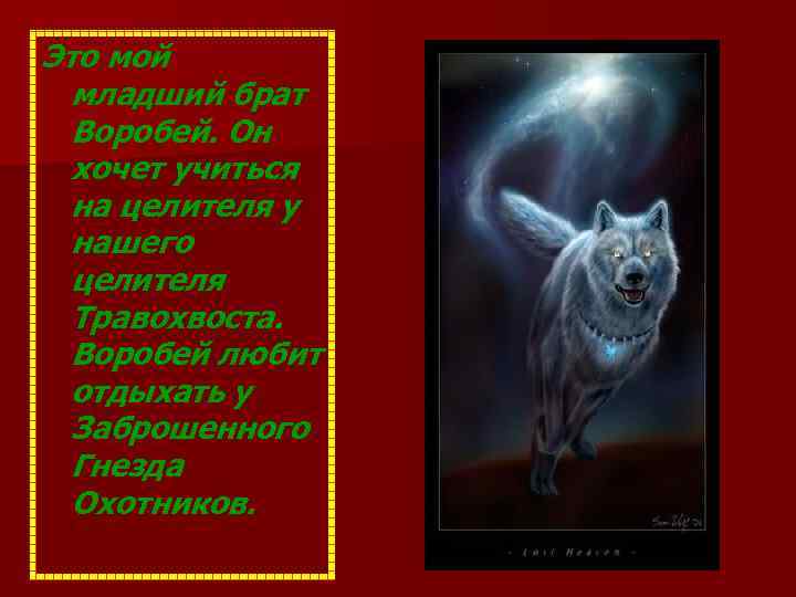 Это мой младший брат Воробей. Он хочет учиться на целителя у нашего целителя Травохвоста.