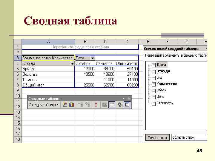 Сводная таблица 48 