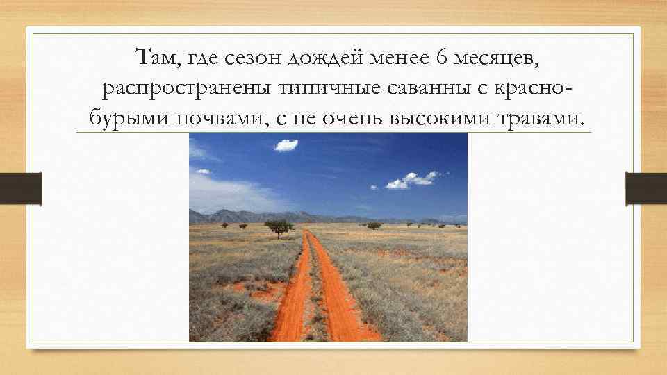 Там, где сезон дождей менее 6 месяцев, распространены типичные саванны с краснобурыми почвами, с