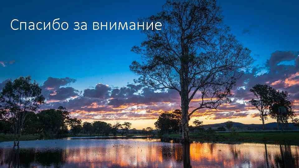 Спасибо за внимание 