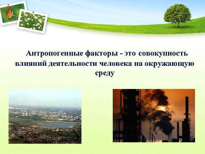 Антропогенные факторы - это совокупность влияний деятельности человека на окружающую среду 