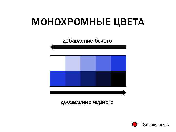 Монохромная схема в одежде