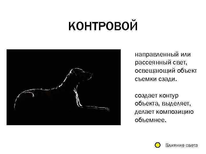 КОНТРОВОЙ направленный или рассеянный свет, освещающий объект съемки сзади. создает контур объекта, выделяет, делает