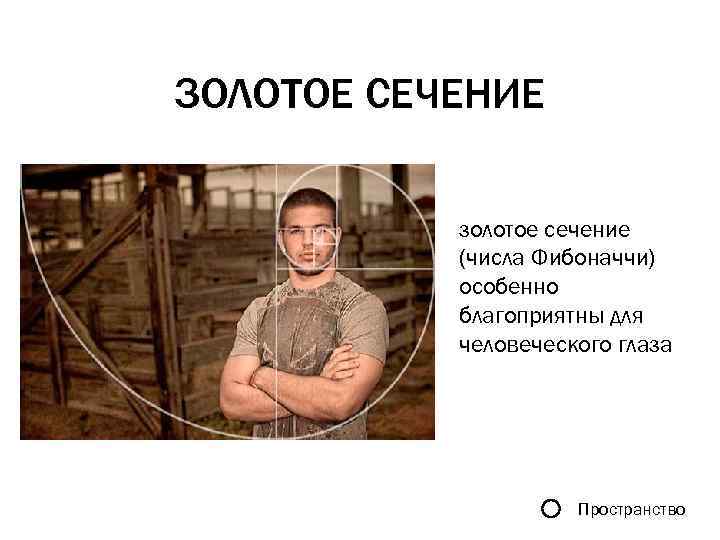 ЗОЛОТОЕ СЕЧЕНИЕ золотое сечение (числа Фибоначчи) особенно благоприятны для человеческого глаза Пространство 