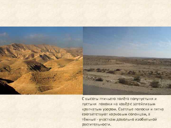 С высоты птичьего полёта полупустыня и пустыня похожи на ковёр с затейливым крапчатым узором.