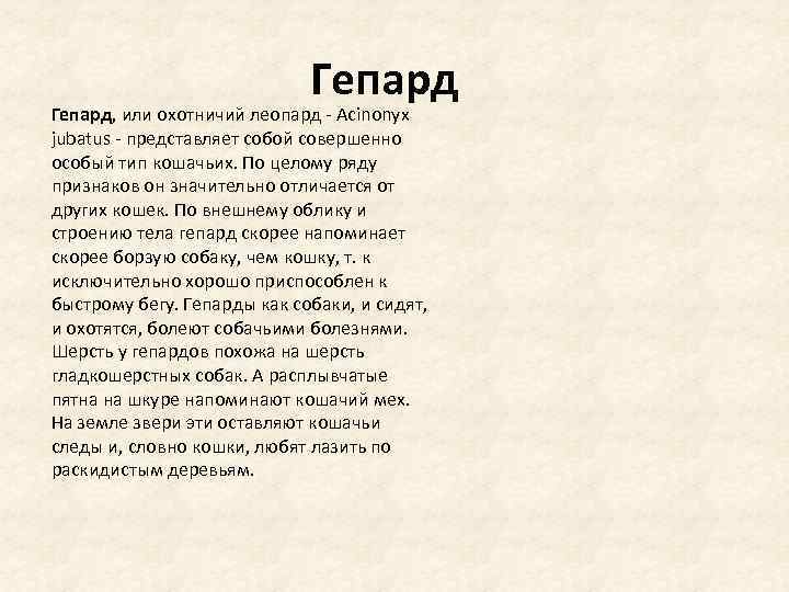 Гепард, или охотничий леопард - Acinonyx jubatus - представляет собой совершенно особый тип кошачьих.