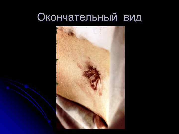 Окончательный вид 