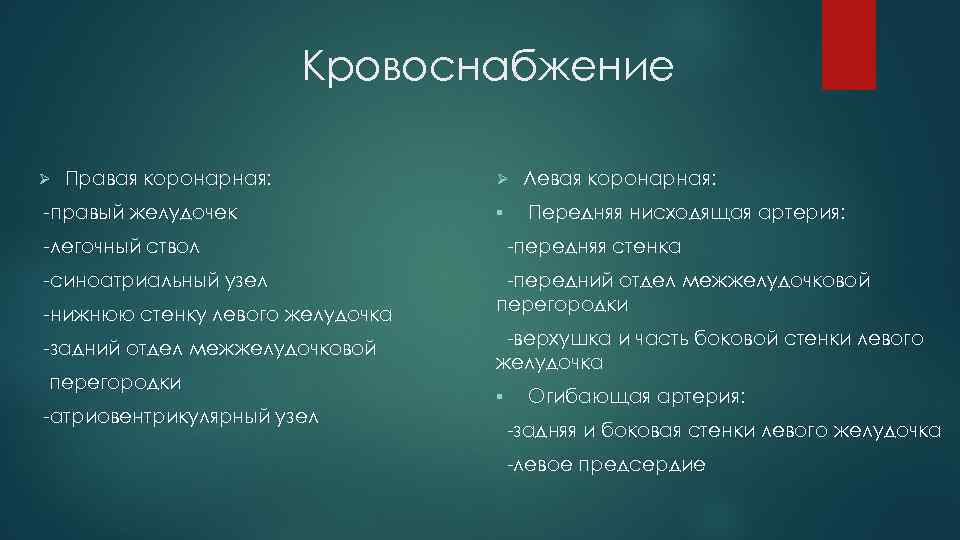 Кровоснабжение Ø Правая коронарная: -правый желудочек Ø § -легочный ствол -синоатриальный узел -нижнюю стенку