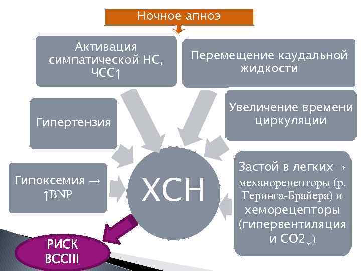 Ночное апноэ Активация симпатической НС, ЧСС↑ Перемещение каудальной жидкости Увеличение времени циркуляции Гипертензия Гипоксемия