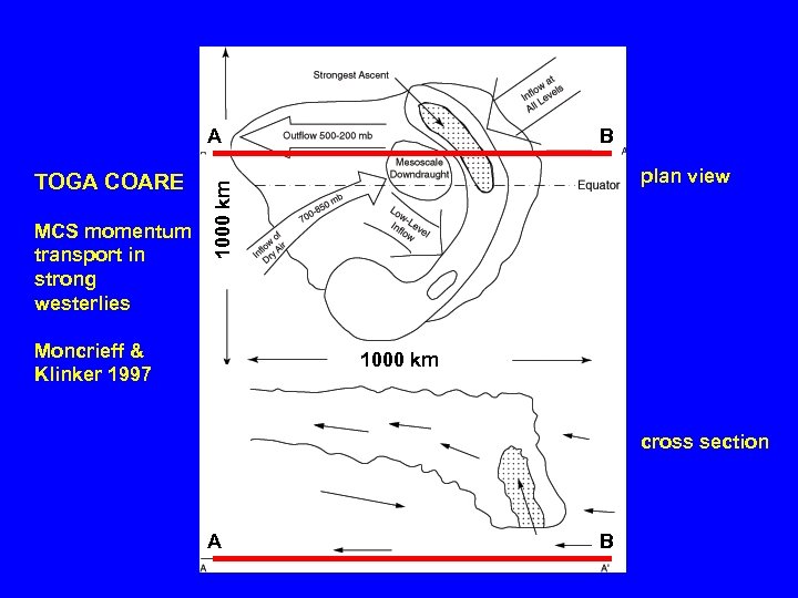 A MCS momentum transport in strong westerlies plan view 1000 km TOGA COARE B