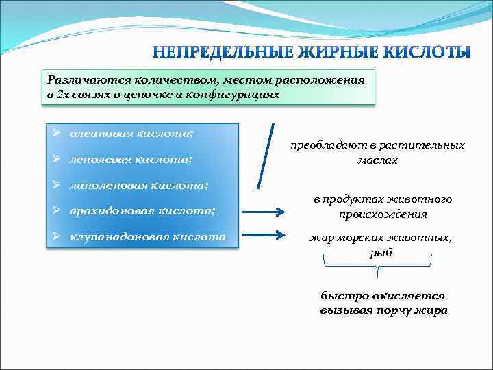 Различаются количеством, местом расположения в 2 х связях в цепочке и конфигурациях Ø олеиновая