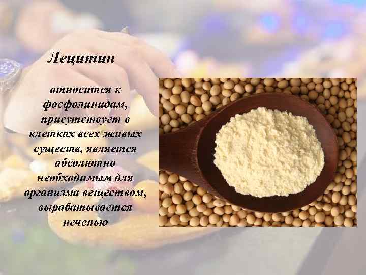 Лецитин относится к фосфолипидам, присутствует в клетках всех живых существ, является абсолютно необходимым для