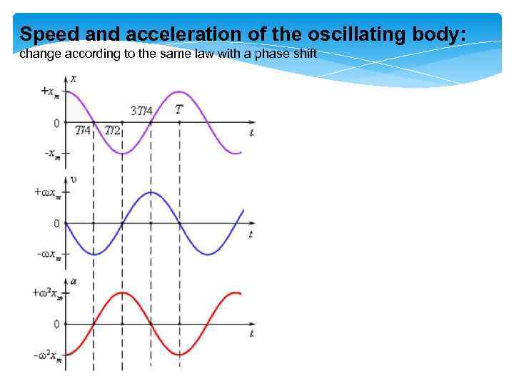 Speed and acceleration of the oscillating body: change according to the same law with