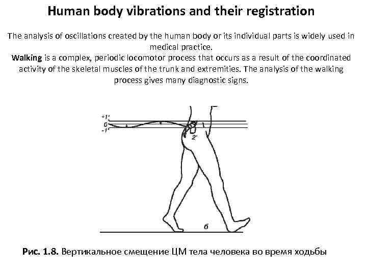 Human body vibrations and their registration The analysis of oscillations created by the human