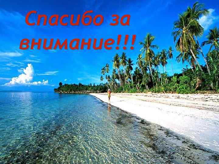 Спасибо за внимание!!! 