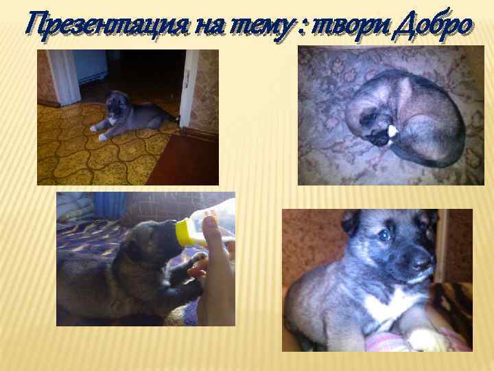 Презентация на тему : твори Добро 