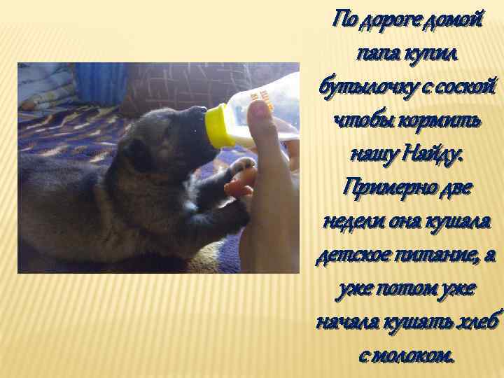 По дороге домой папа купил бутылочку с соской чтобы кормить нашу Найду. Примерно две