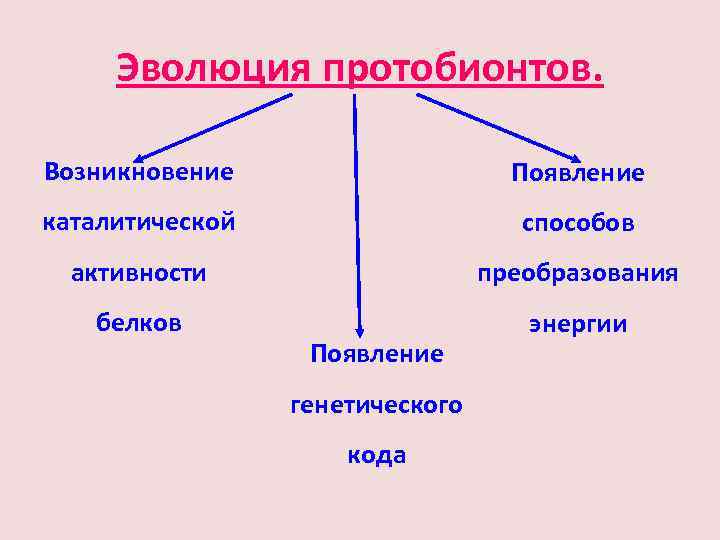 Протобионты. Эволюция протобионтов. Возникновение протобионтов. Эволюция протобионтов кратко. Этапы эволюции протобионтов.