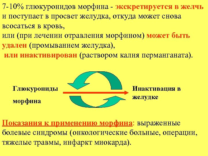 7 -10% глюкуронидов морфина - экскретируется в желчь и поступает в просвет желудка, откуда