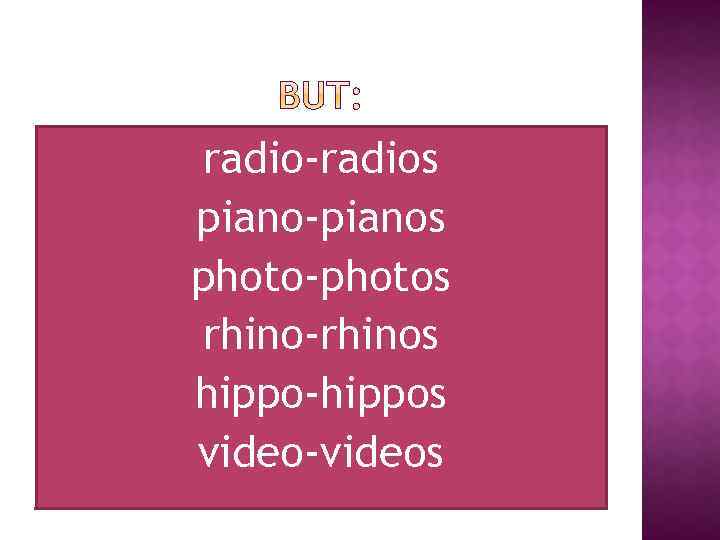 radio-radios piano-pianos photo-photos rhino-rhinos hippo-hippos video-videos 