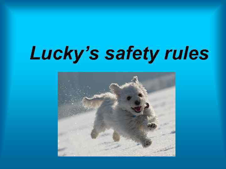 Lucky’s safety rules 