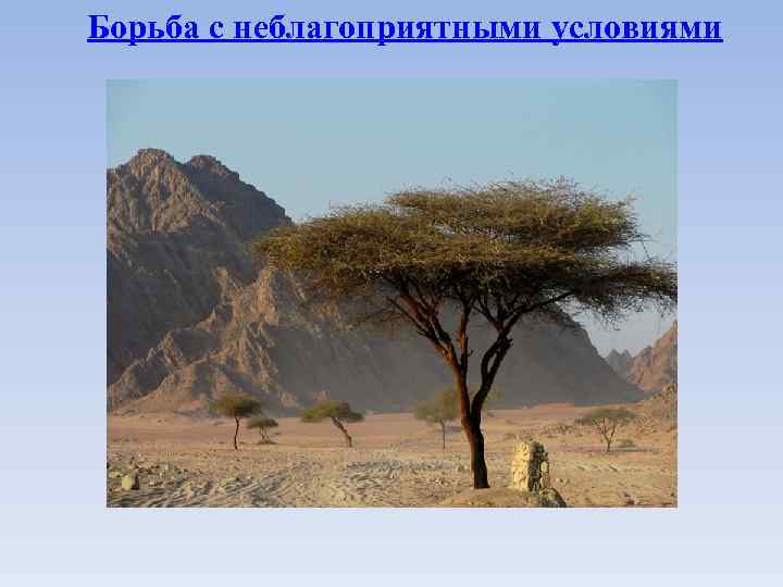 Борьба с неблагоприятными условиями 