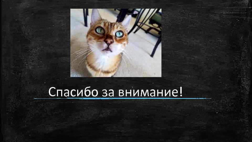 Спасибо за внимание! 