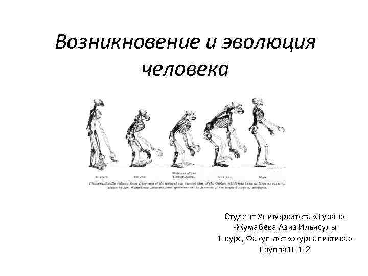 Возникновение и эволюция человека Студент Университета «Туран» -Жумабева Азиз Ильясулы 1 -курс, Факультет «журналистика»