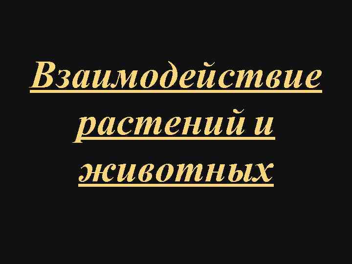 Взаимодействие растений и животных 