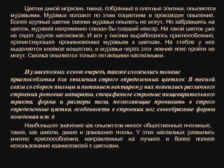 Цветки дикой моркови, тмина, собранные в плотные зонтики, опыляются муравьями. Муравьи ползают по этим