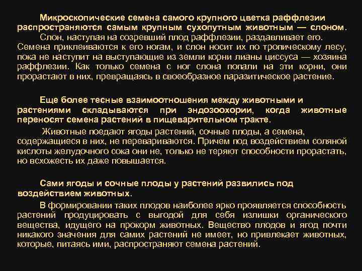 Микроскопические семена самого крупного цветка раффлезии распространяются самым крупным сухопутным животным — слоном. Слон,