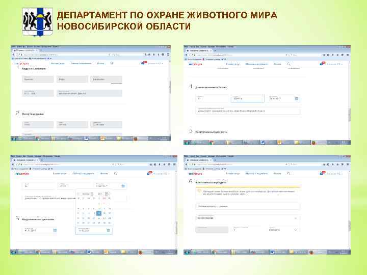 ДЕПАРТАМЕНТ ПО ОХРАНЕ ЖИВОТНОГО МИРА НОВОСИБИРСКОЙ ОБЛАСТИ 