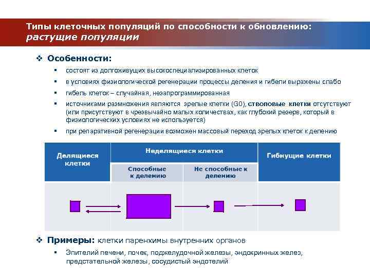 Виды клеточных популяций