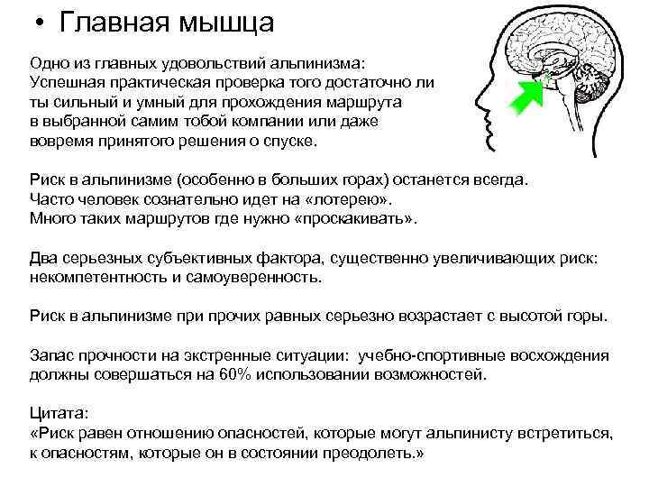  • Главная мышца Одно из главных удовольствий альпинизма: Успешная практическая проверка того достаточно