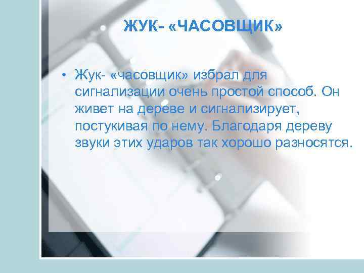 ЖУК- «ЧАСОВЩИК» • Жук- «часовщик» избрал для сигнализации очень простой способ. Он живет на