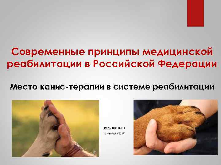 Современные принципы медицинской реабилитации в Российской Федерации Место канис-терапии в системе реабилитации МЕЛЬНИКОВА Е.