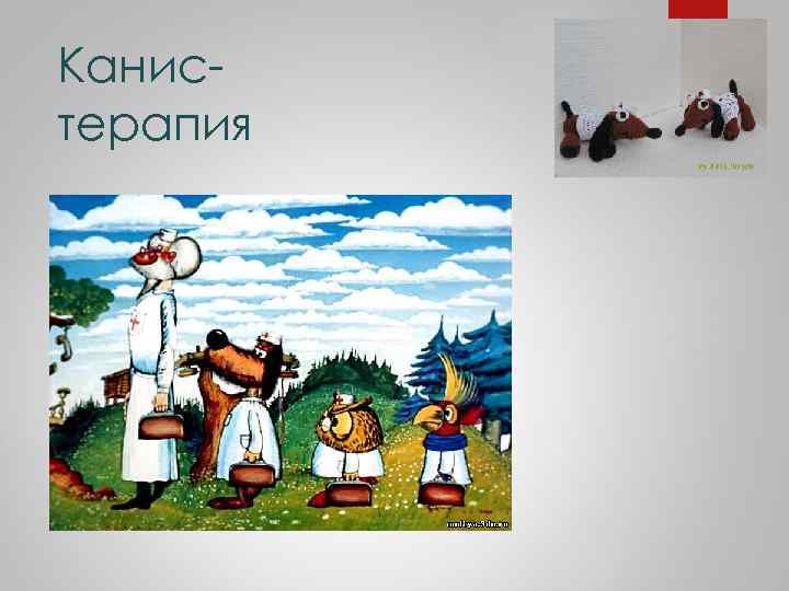 Канистерапия 