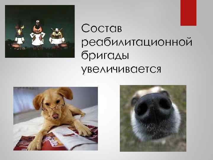 Состав реабилитационной бригады увеличивается 