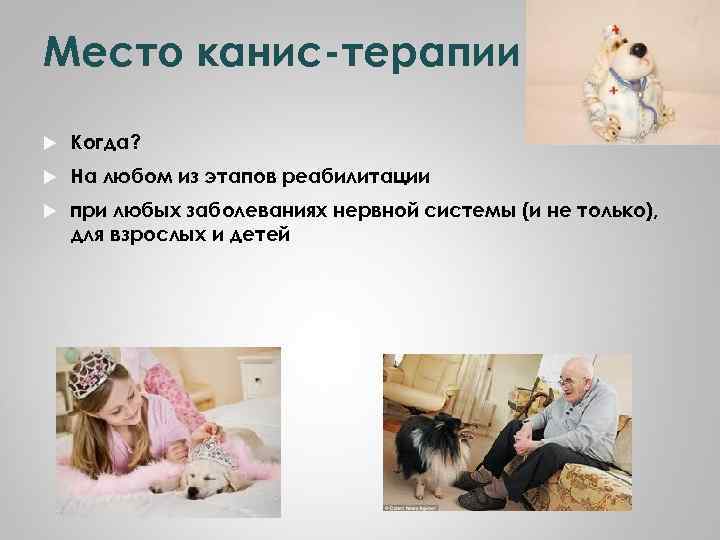 Место канис-терапии Когда? На любом из этапов реабилитации при любых заболеваниях нервной системы (и
