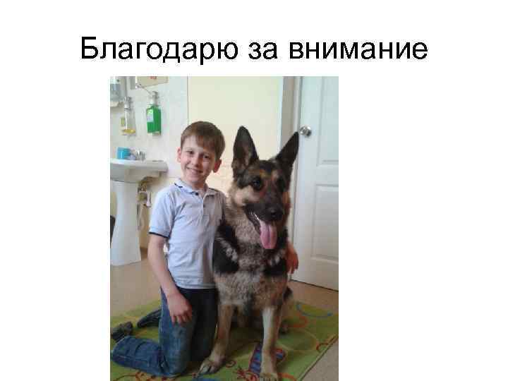 Благодарю за внимание 