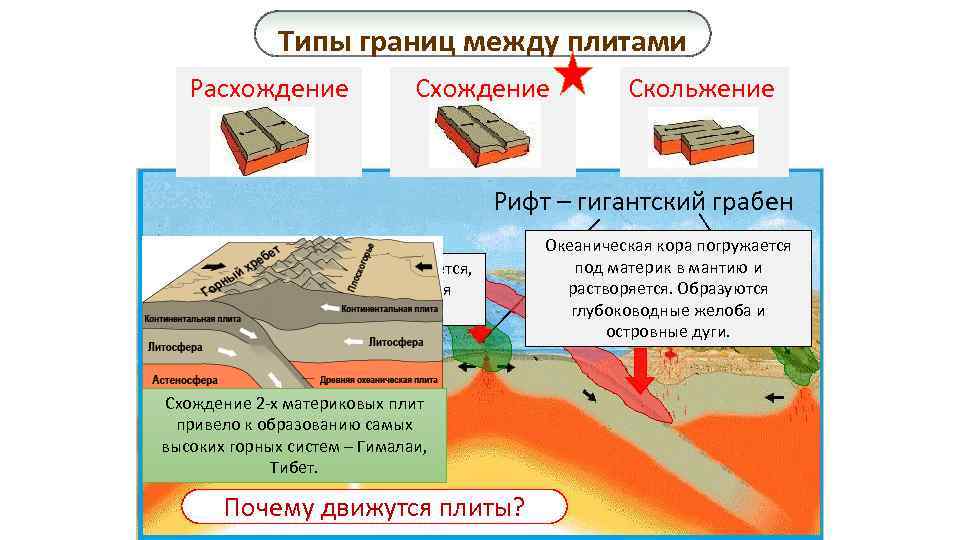 Типы границ между плитами Расхождение Скольжение Рифт – гигантский грабен Вещество мантии поднимается, остывает,