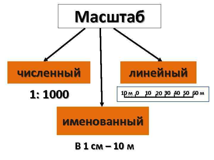 Масштаб численный 1: 1000 линейный 10 м 0 именованный В 1 см – 10