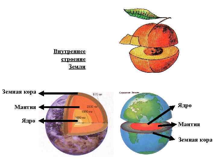 Внутреннее строение Земли Земная кора Мантия Ядро Мантия Земная кора 