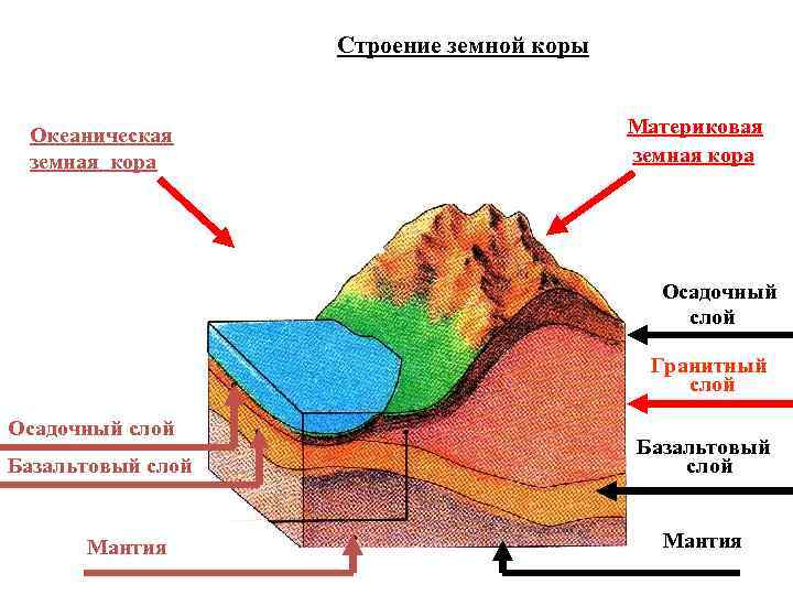 Строение земной коры Океаническая земная кора Материковая земная кора Осадочный слой Гранитный слой Осадочный