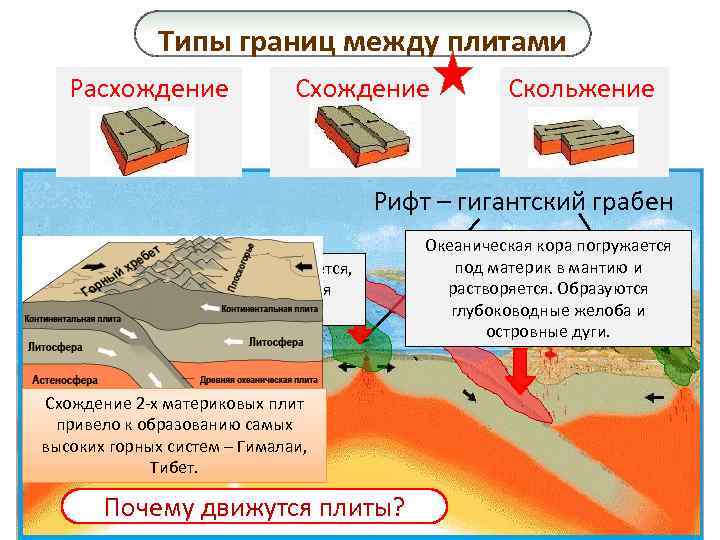 Типы границ между плитами Расхождение Скольжение Рифт – гигантский грабен Вещество мантии поднимается, остывает,
