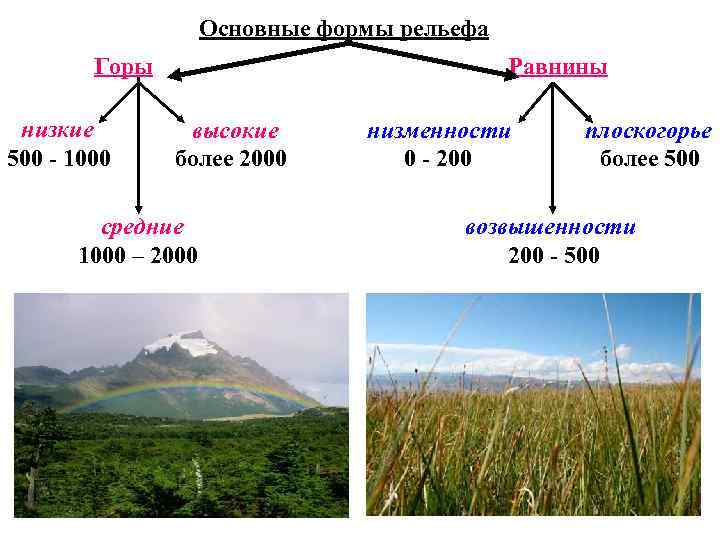 Основные формы рельефа Горы низкие 500 - 1000 Равнины высокие более 2000 средние 1000