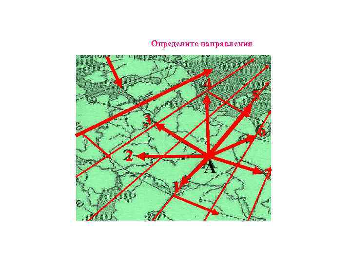 Определите направления 4 3 5 6 2 А 1 7 