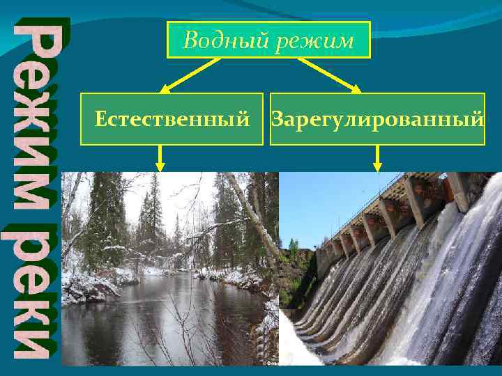 Водный режим Естественный Зарегулированный 